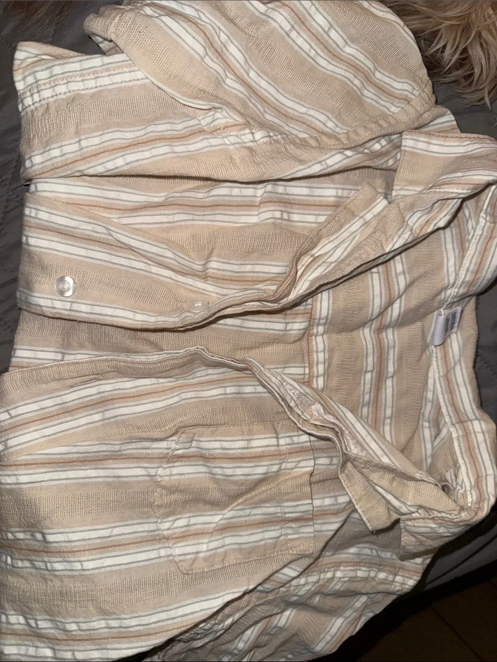 GAP Beige and White Striped Button-Down Shirt short sleeve